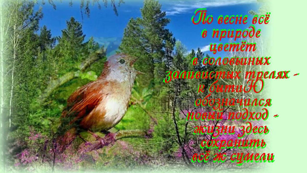 Соловьи Лесоповал На лесоповале волей крепче стали стал