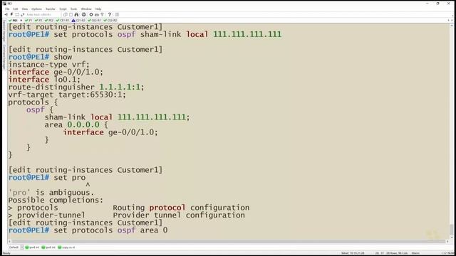 08. Deploy the OSPF Sham Link