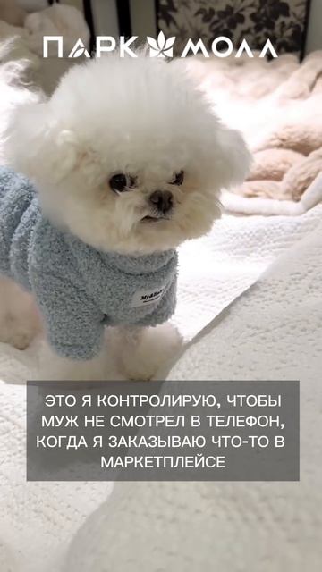 У вас также?
