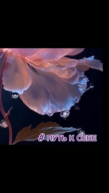 МАГИЯ ЖЕНСТВЕННОСТИ #shorts #любовь #motivation
