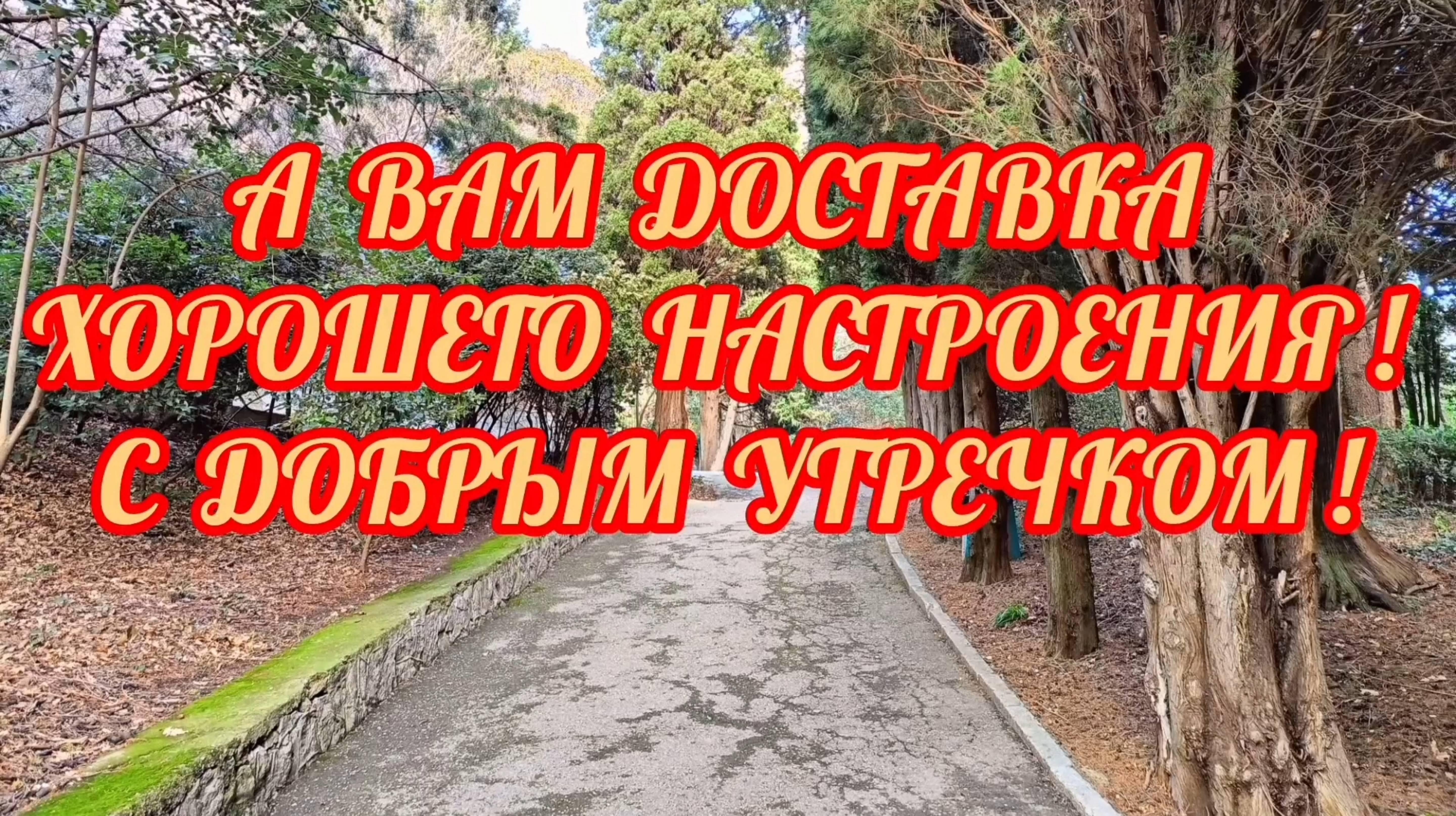 ДОСТАВКА ХОРОШЕГО НАСТРОЕНИЯ! 
С ДОБРЫМ УТРОМ!