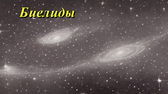 Биелиды