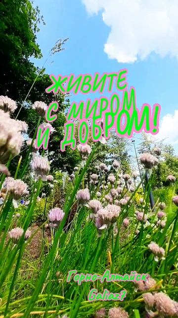 Доброе утро