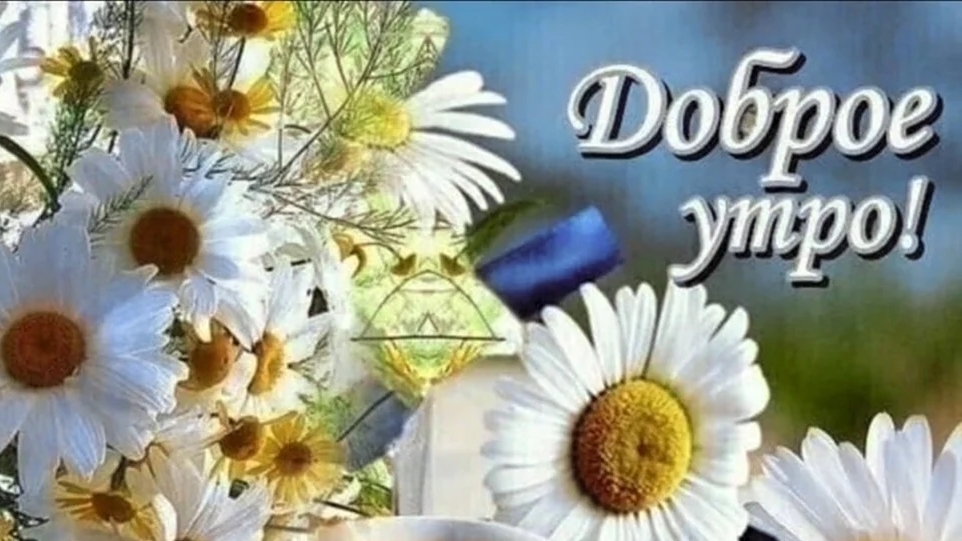 С добрым,летним,ромашковым утром!