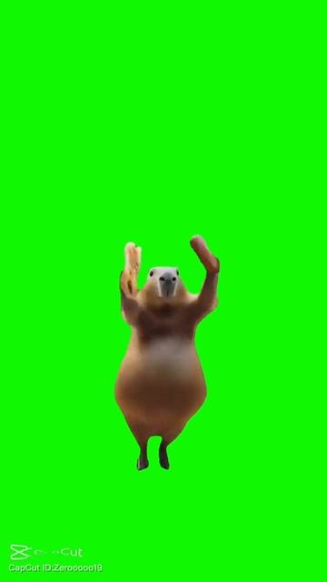 🐻