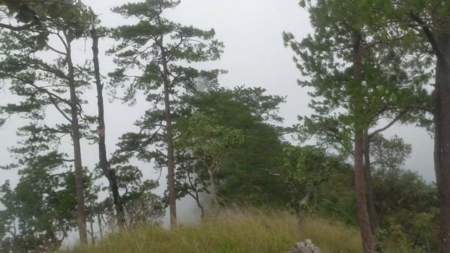 где-то в горах