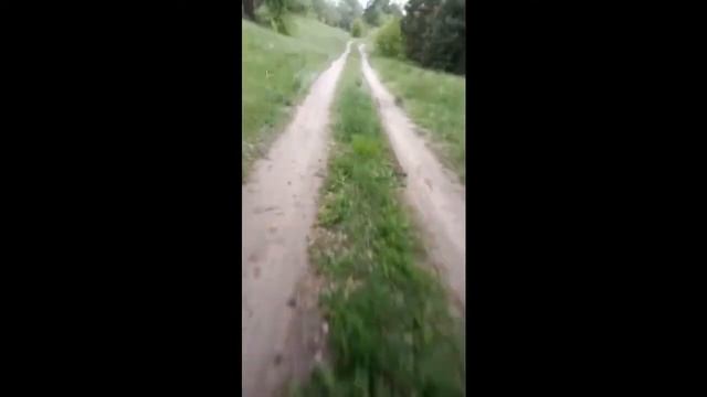 Спуск на велосипеде. Bike green