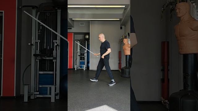 La canne de combat. Секреты la canne. Скорость.