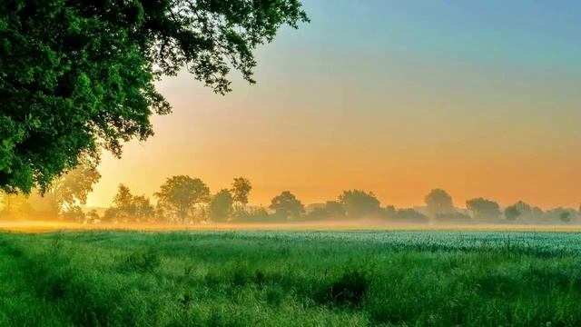 Я БУДУ ПЕТЬ, Я БУДУ СЛАВИТЬ ИМЯ ТВОЕ, ИИСУС ХРИСТОС!! СПб Хор