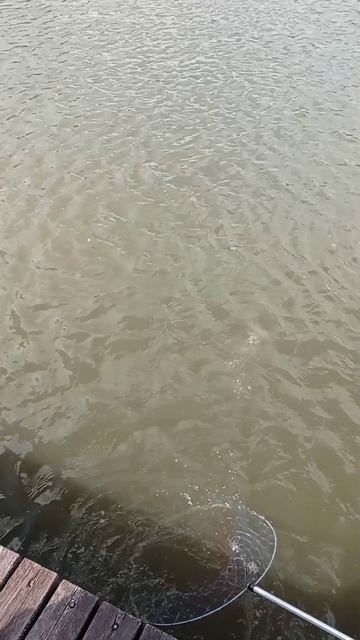 Рыбалка в Рыбном