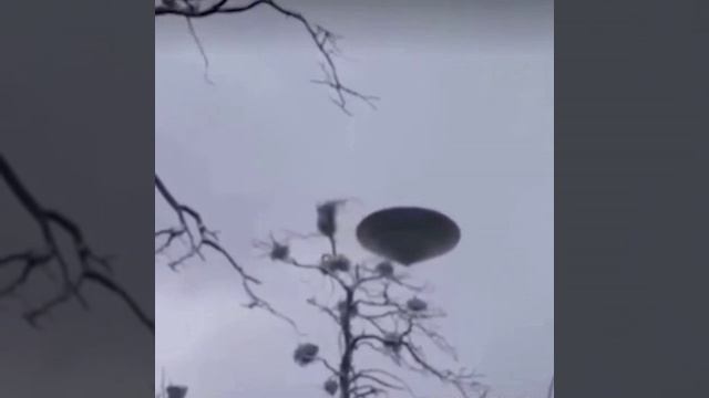 Летающую тарелку засняли в неплохом качестве.