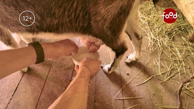 Непредсказуемый ужин. Анонс. Канал FoodTime