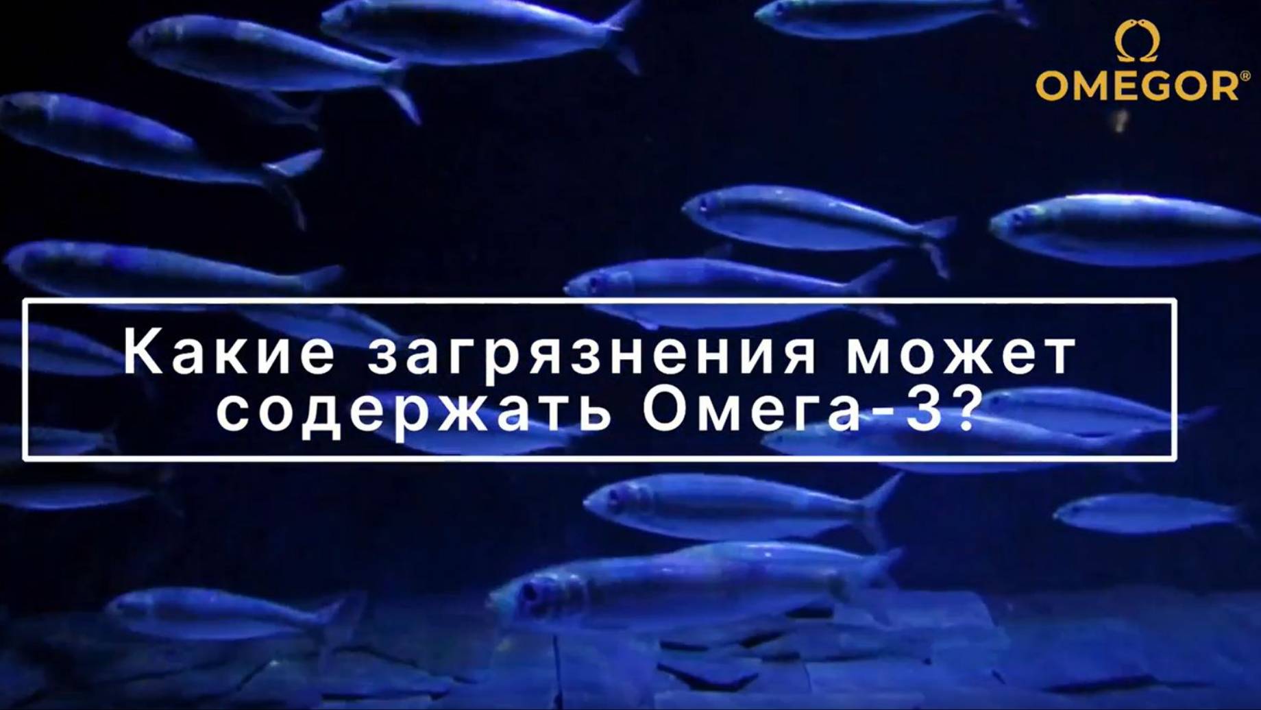 Загрязнения в Омега-3