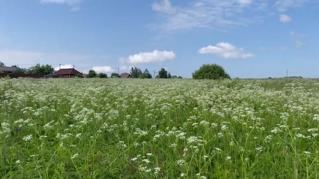 с. Усадище ул Нагорная уч 17