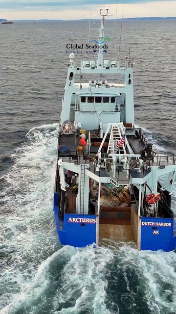 🚢 F/V Arcturus возвращается на север
Посмотрите, как рыболовное судно Arcturus отправляется обратн