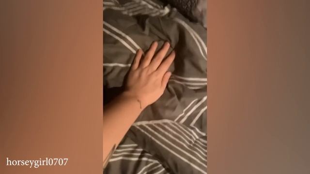 Являются ли ЧИХУАХУА САМЫМИ СМЕШНЫМИ СОБАКАМИ Видео с самыми смешными собаками 2023