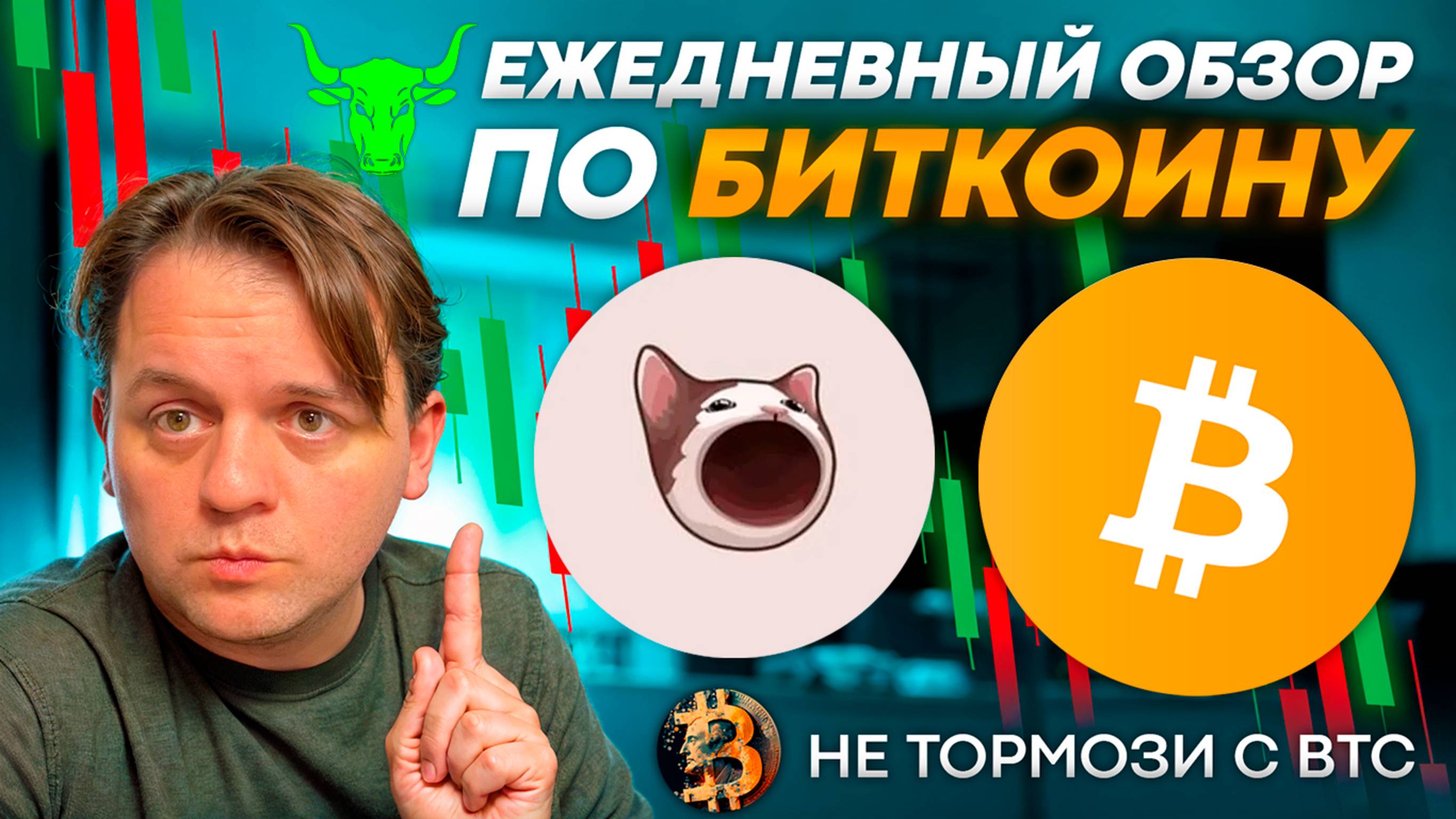 🚨ФИЗ ЛИЦА ПРОДАЮТ - БИЗНЕС И ETF ЗАКУПАЮТ BTC И ETH. ЖДУ BTC НА 97 000. ТЕХ АНАЛИЗ #BTC #POPCAT