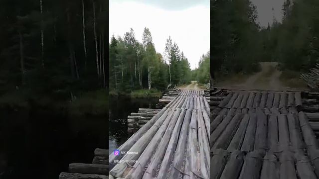 clip44488620_456239250.mp4