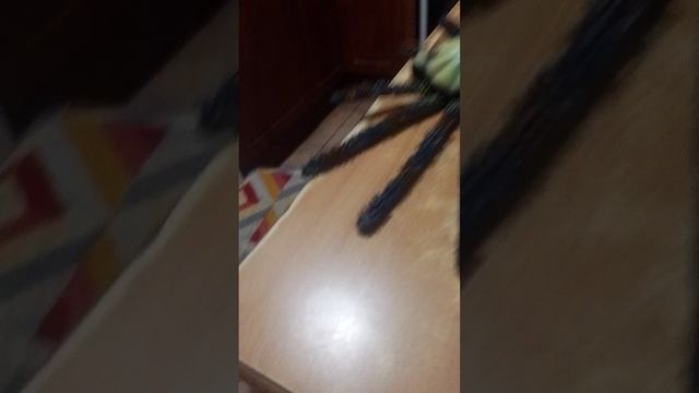 Павук вам передаёт привет!