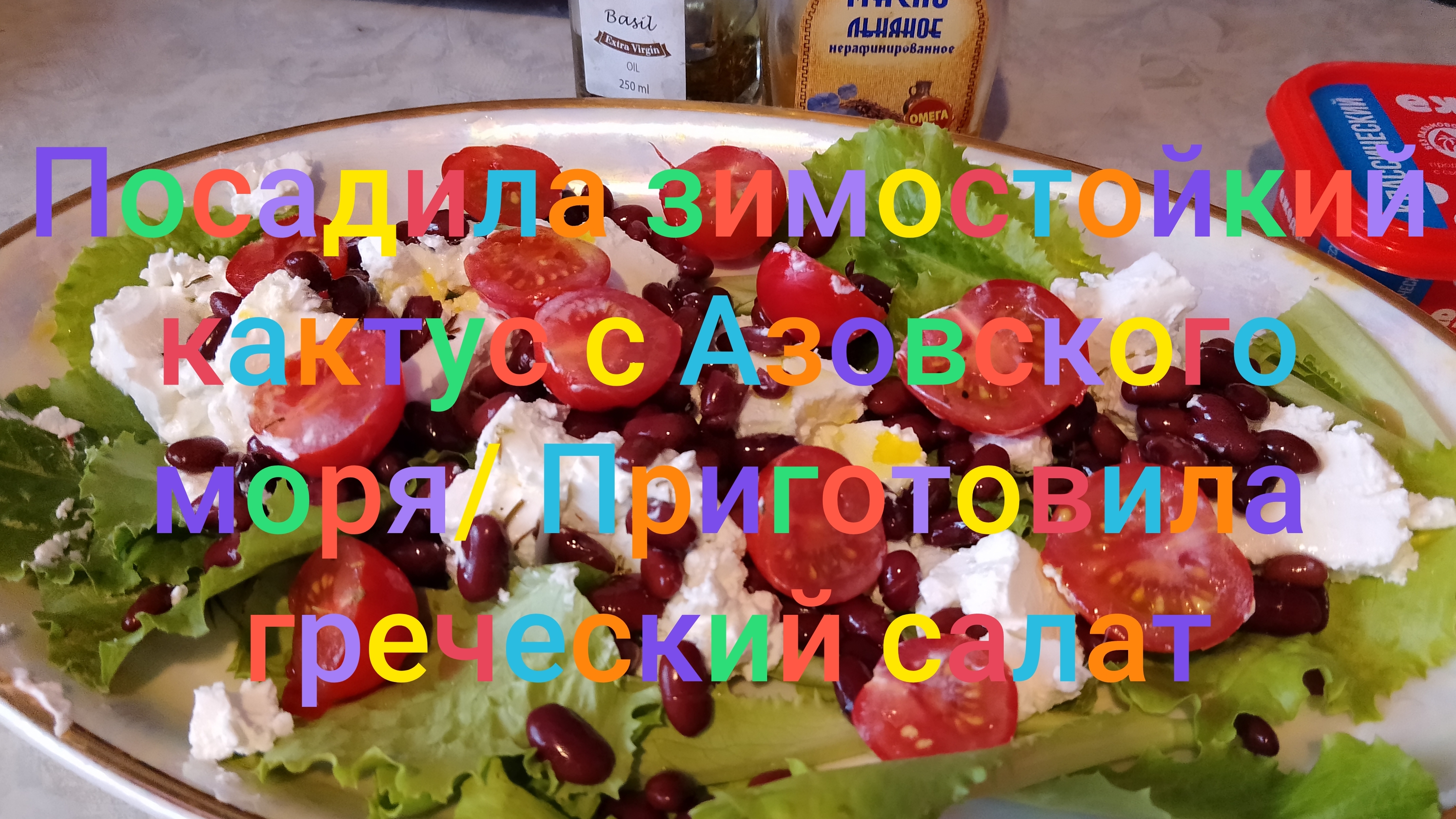 Посадила зимостойкий кактус с Азовского моря/ Приготовила греческий салат