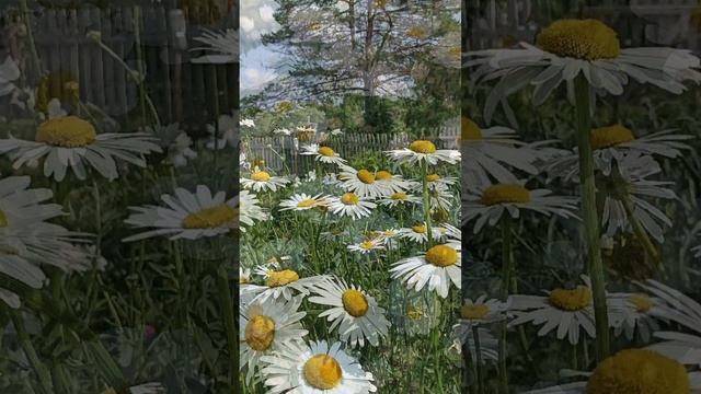 Доброе утро ☀