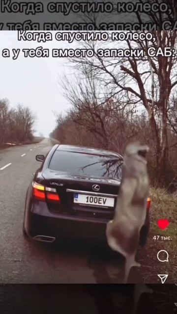 Когда спустило колесо