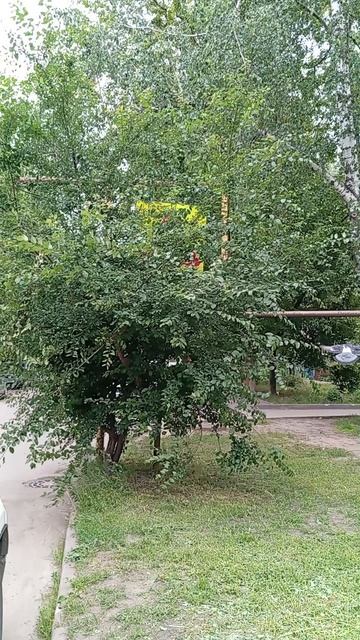 Дорожный знак.mp4