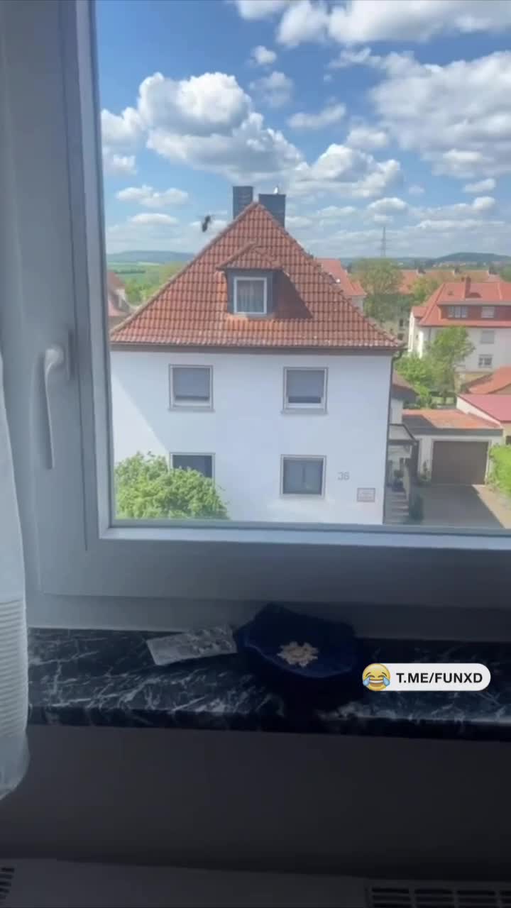 Доброе утро!😅