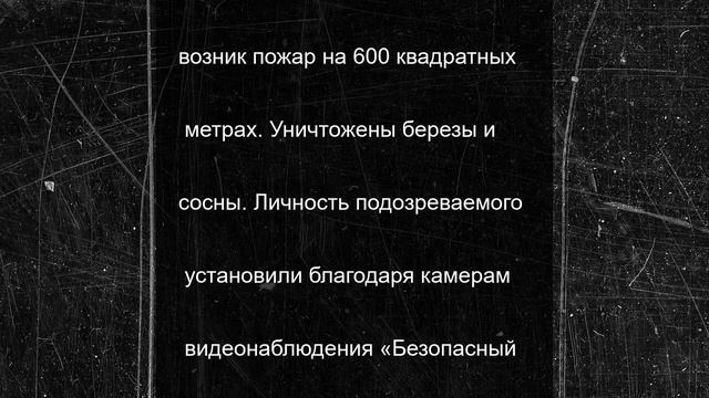 Житель Балашихи устроил пожар в лесу ради забавы