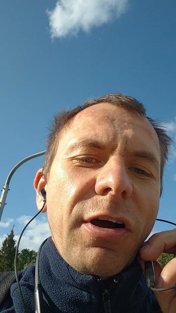 картина #топыкатегорий