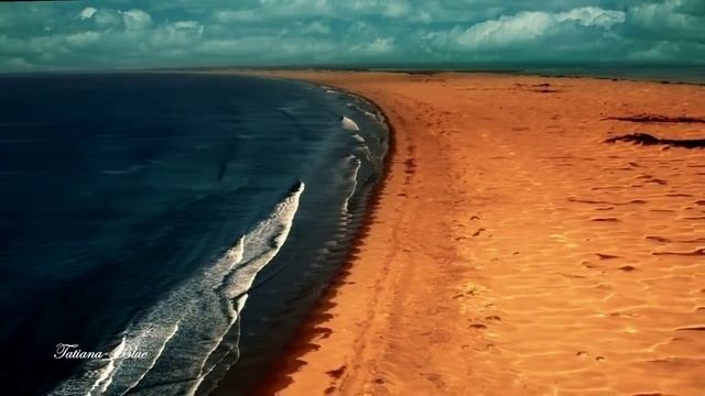 Leo Rojas - Celeste