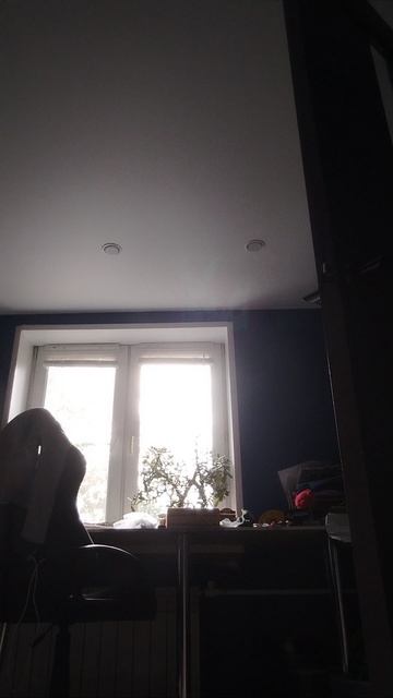 1000014168.mp4