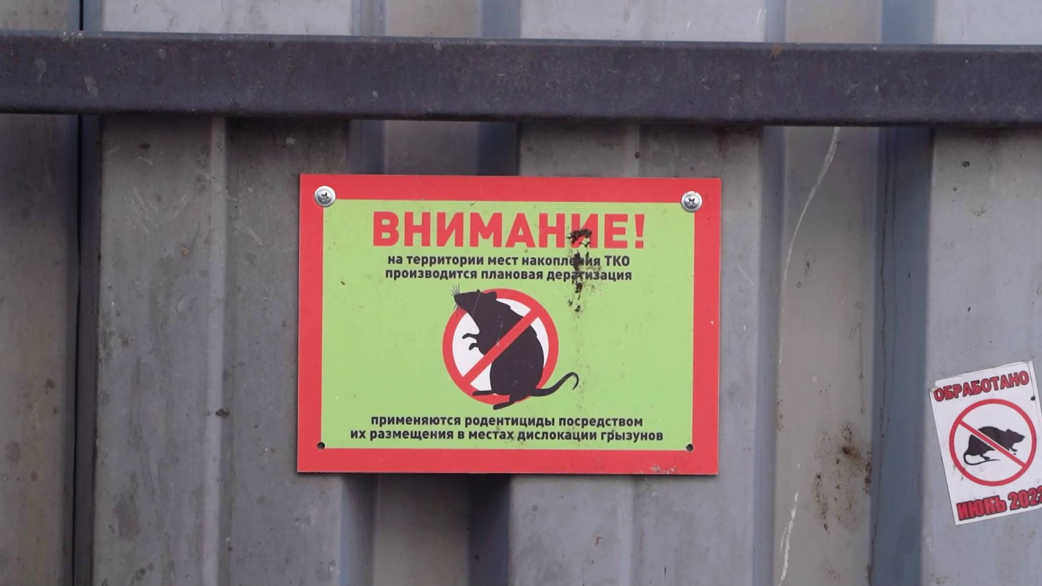 Бороться с крысами в Магадане будут по-новому