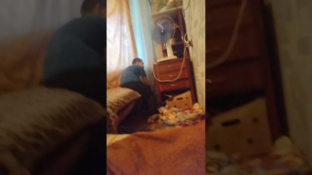 VID_20250626_180223.mp4