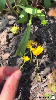 Подпишись 👉 https://vk.com/ykrasheniy_iz_kamny