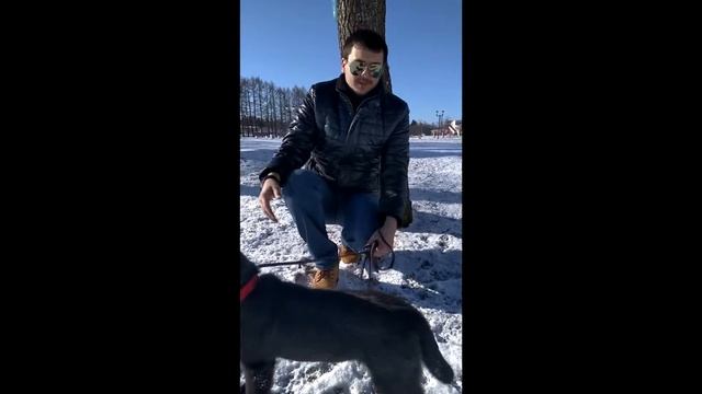 Знакомство