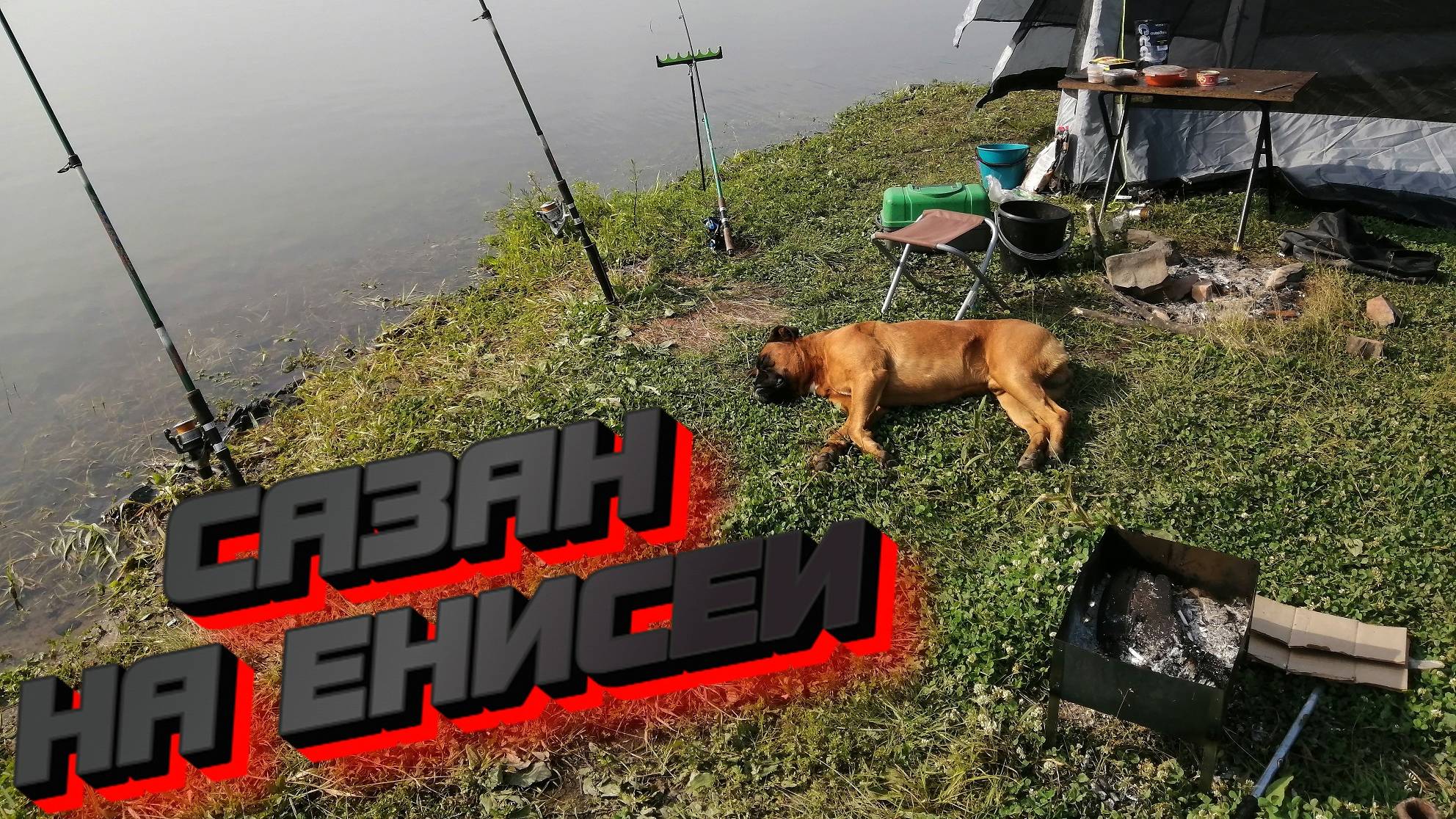 Рыбалка с ночевкой  Поймали Сазана на 3кг. р. Енисей