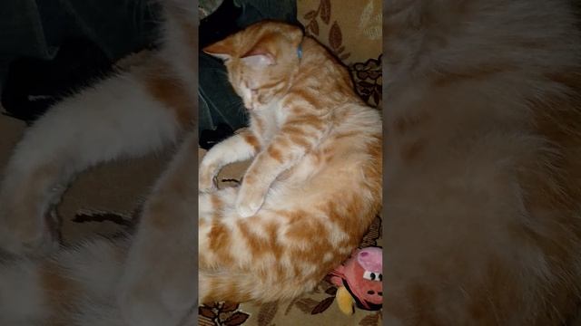 милый, милый мальчик-хулиган.