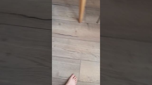 скучная кошка