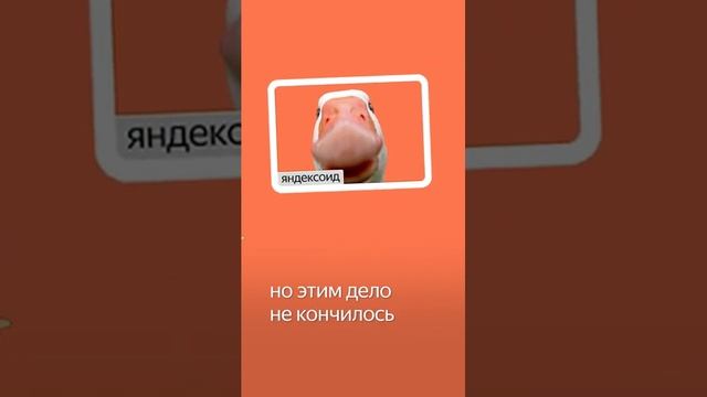 🐦🐦🐦 ЗАПУСКАЕМ ГУСЯ РАБОТЯГИ 🐦🐦🐦 #гусь