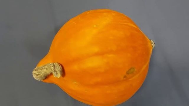 Готовые ТЫКВЫ, (3)