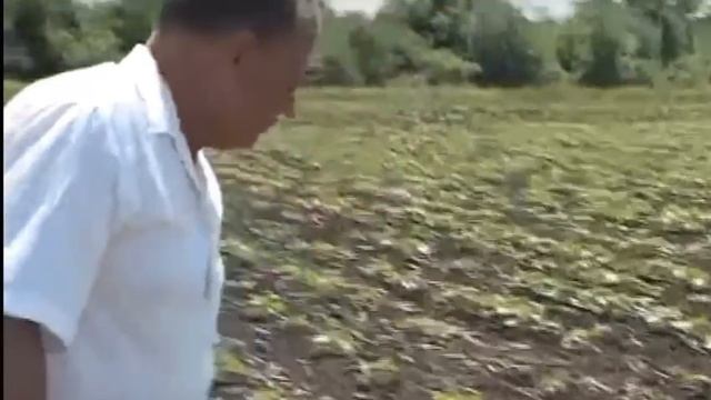 ПОПОВ О БМР ИНТЕРВЬЮ