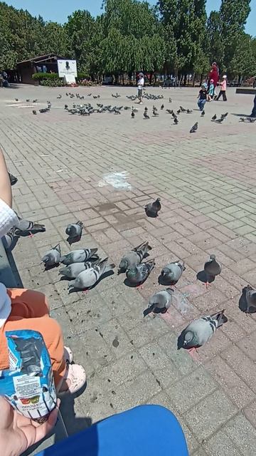 О ЧЕМ ХОТЯТ ПРЕДУПРЕДИТЬ ВЫСШИЕ СИЛЫ