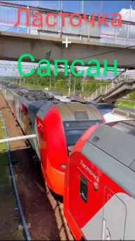 Ласточка и Сапсан.mp4