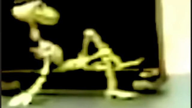 1000001217.mp4