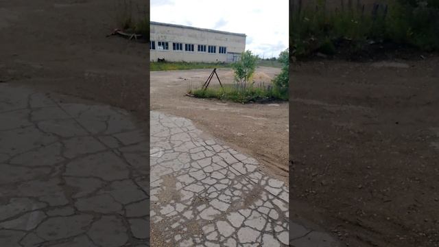 1000054289.mp4