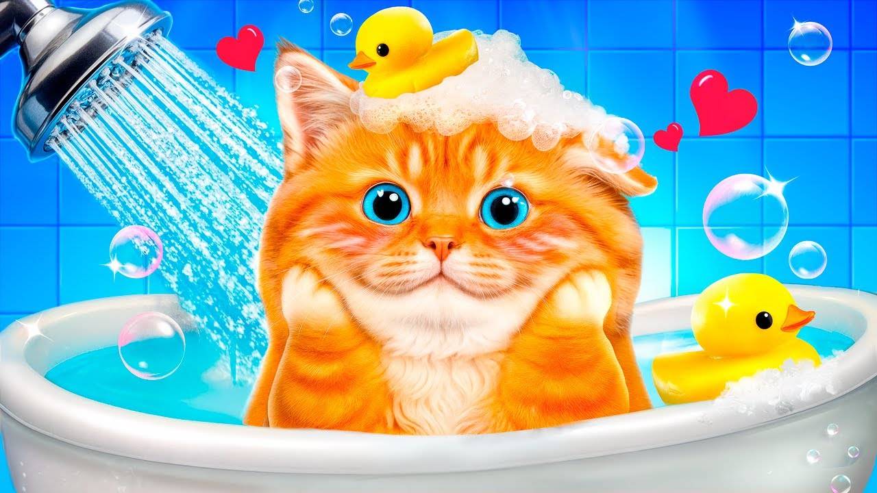 МЫ СПАСЛИ БЕЗДОМНОГО КОТЁНКА. ЛАЙФХАКИ ДЛЯ ДОМАШНИХ ЖИВОТНЫХ