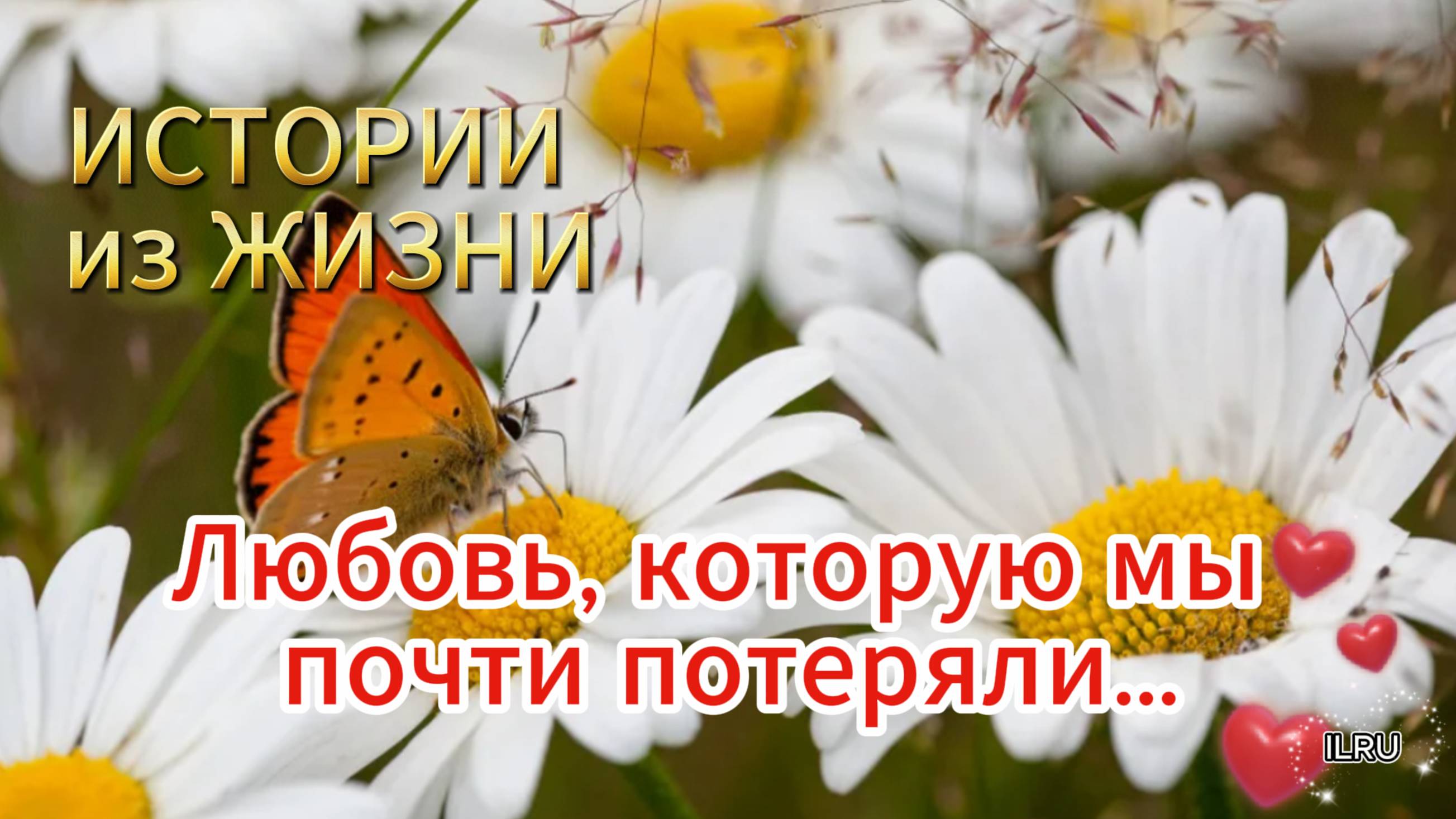 Истории из жизни  - Любовь, которую мы почти потеряли…