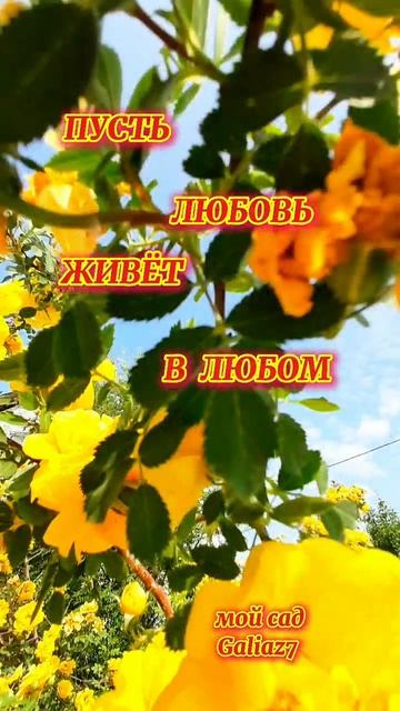 Хорошего Дня