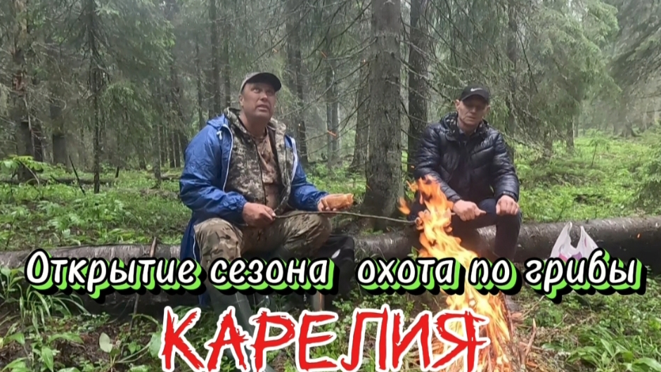 Первые грибы в Карелии в этом сезоне.